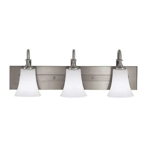 Sea Gull VS12704-BS Barrington Four Light Fixture, 4, Brushed Steel - Picture 1 of 2