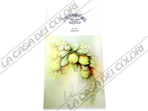 SONIE AMES - SCHEDA PITTURA PORCELLANA - PAINTING STUDY - NR 36 LIMONI - Picture 1 of 1