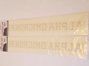 2-PACK OF ALPHA OMICRON PI Sticker for INSIDE GLASS 15" - Picture 1 of 1