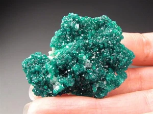Dioptase, Tsumeb Mine, Otjikoto Region, Namibia - Picture 1 of 3