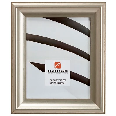 Craig Frames, Fire & Ice, 1.8" Brushed Silver Wood Picture Frame Poster Frame - Image 1 of 4