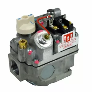 Combinación Válvula de Seguridad FRYMASTER 807-0115 807-0306 8100014 NAT - Imagen 1 de 1