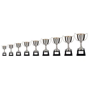 Nickel Plated Metal Cup Trophy Award *FREE ENGRAVING* 9 Sizes - Picture 1 of 2
