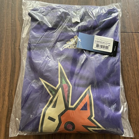 Men's Arizona Coyotes Adidas Purple Reverse Retro Pullover Hoodie Size Small Cover