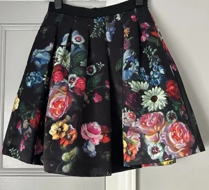 Ted Baker Flowtii Oil painting Skirt Size 2 /UK 10 - Picture 1 of 10