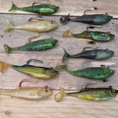 10 Señuelo Molix RT COLA ABATIBLE Cebo Suave Depredadores o similar Foto 1 de 4