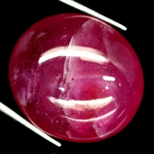 SHOLA Auténtico 95,51 quilates Natural Rosa Rojo Rubí GIGANTE de Madagascar - Imagen 1 de 3