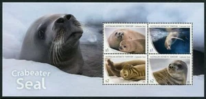 AAT - 2018 'CRABEATER SEAL' Miniature Sheet MNH [E2405] - Bild 1 von 1