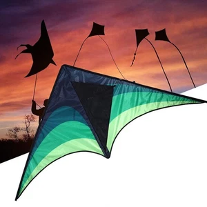 Großer Delta Kite für Kinder und Erwachsene Einleiner Easy To D3P7 Handle Fly w NYD - Bild 1 von 12