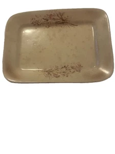 knowles taylor knowles 1870-1900 Ironstone Floral 9,5”x7” Platte SELTENES STÜCK - Bild 1 von 4