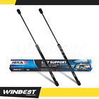 Fit 94-04 Ford Mustang 01-07 Esperante 2 Rear Tailgate Lift Support Shock Struts