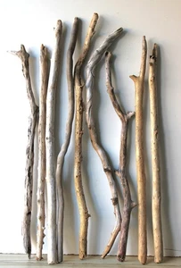 Legno galleggiante Driftwood 6 rami XXL decorazione fai da te 88-102 cm *NF* - Foto 1 di 17