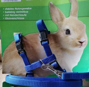 Kaninchen Garnitur,Geschirr + Leine,🐰Garnitur, Spazier Set, blau - Bild 1 von 3
