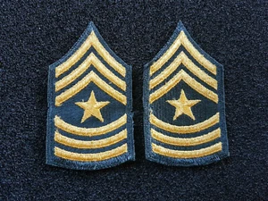 (31) US Army Chief Master Sergeant E-8 Frauen Women´s Rank SGT Major Vietnam - Picture 1 of 2