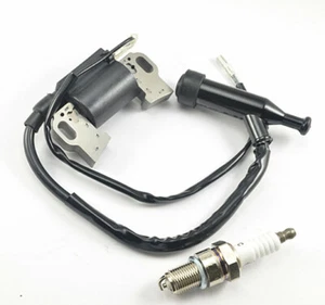DeWalt Ignition Coil & Spark Plug for DXPW3835 DXPW4240 DXPW60605 DH4240B Washer - Picture 1 of 4