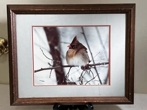 Thomas D. Mangelsen Framed Female Cardinal Signed no. 502 of 950 - Picture 1 of 8