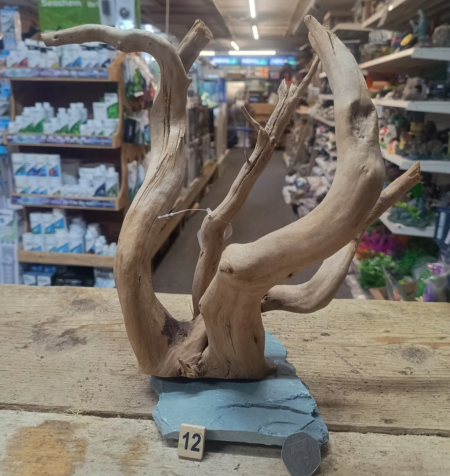 Raíz de madera de páramo rojo sobre pizarra acuario madera de pantano madera a la deriva decoración de vivario Foto 1 de 1