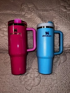 Stanley Lot of 2 Stainless Steel Water Bottle Preowned - Picture 1 of 8