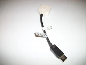 DisplayPort to DVI-D Adapter Cable digital signal Graphics Video Card - Picture 1 of 4
