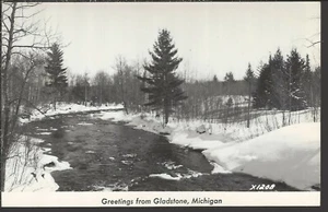 Greetings from GLADSTONE Michigan ~ REAL PHOTO RPPC - Picture 1 of 2