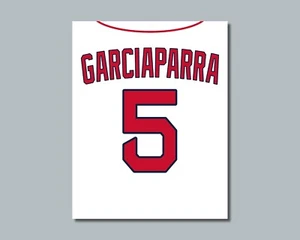 NOMAR GARCIAPARRA Photo Picture BOSTON RED SOX comparable 8x10 11x14 16x20 jz w - Picture 1 of 13