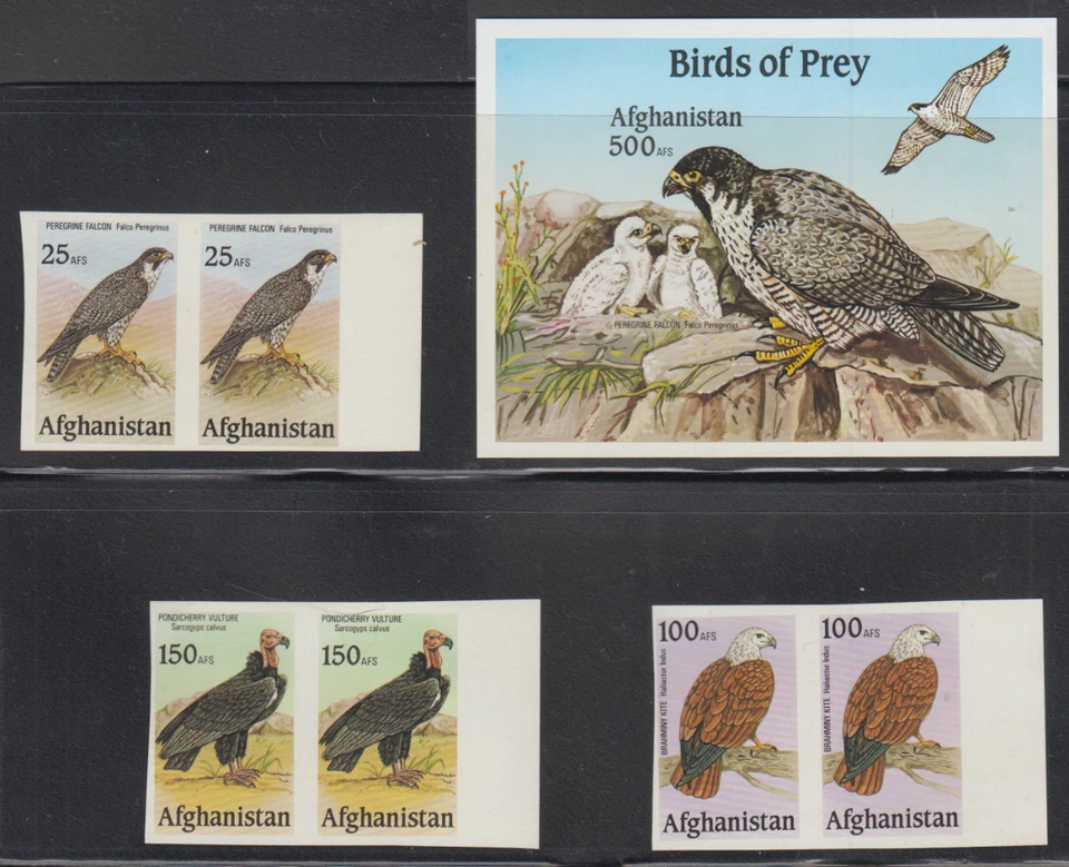 阿富汗 UNISSUED BIRDS OF PREY/FALCON/KITE/VULTURE STAMPS IMPERF MNH TOP215 — 第 1/1 张图片