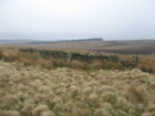 Photo 6x4 Stelling near Coal Cleugh Wether Lair/NY7096 On Burngrange Moo c2009