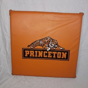 Vintage PRINCETON TIGERS University STADIUM SEAT CUSHION basketball bleacher pad - Picture 1 of 2
