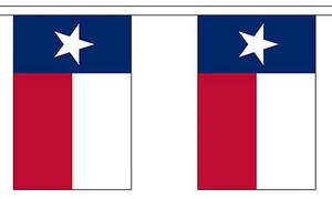 TEXAS U.S. STATE 3 metre BUNTING 10 FLAGS flag USA AMERICA AMERICAN - Picture 1 of 1