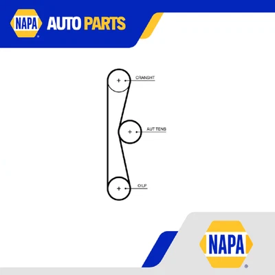 Timing Belt fits FORD FOCUS Mk3 1.0 15 to 20 Automatic Transmission Gates New - Image 1 of 4
