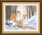 SHIBA INU Fine Art Limited Edition dog print 'Winter's Charm' by Lynn Paterson