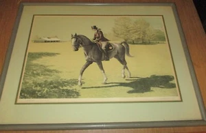 MEL HUNTER SIGNED & NUMBERED 245/500 (SADDLEBRED) Lithographie MATTED & GERAHMT - Bild 1 von 5