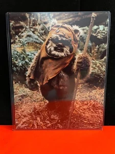 Star Wars 1983 Lucasfilm Fan Club 8x10 Wicket Ewok - Imagen 1 de 1