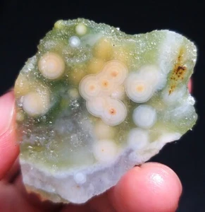 Rare 19G Natural Orbicular Ocean Jasper Rough Stone Healing Madagascar QT99 - Picture 1 of 18