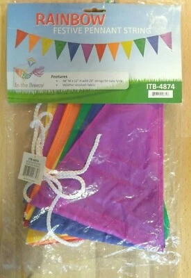 Guirnalda Banderín Festivo Arco Iris Cuerda LGBTQ Multicolor 96" x 12" Foto 1 de 3