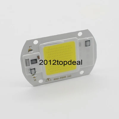 Proyector LED Blanco 20W Chip COB 110V 220V Entrada Integrado Controlador IC Inteligente - Imagen 1 de 3