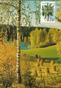 Forest Silver Birch Betula Pendula Finland Nature Landscape Mint Maxi FDC 1995 - Picture 1 of 1