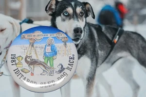 De colección 1987 Iditarod Trineo Perro Carrera Pin Insignia Botón Alaska Pinback Raro Recuerdo - Imagen 1 de 5