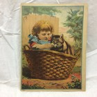 Vtg Victorian Trade Card Little Girl & Cat in Basket Silver Star Baking Powder