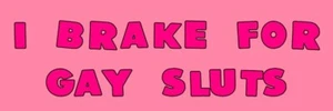FUNNY BUMPER STICKER DECAL "I BRAKE FOR GAY SLUTS" - Picture 1 of 1