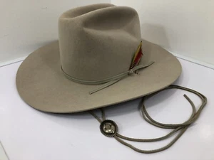 Sombrero de Vaquero Stetson 4x Beaver F2010 Rancher 601 Vientre Plateado Talla 7 ¡con Correa para el Cuello! - Imagen 1 de 24