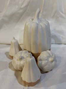 5 Pumpkins Gourds autumn Fall Decor Terracotta Cream 6” + 4 Mini Matte Glaze - Picture 1 of 3