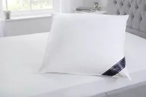 Almohada de plumón y plumón de relleno extra Euro continental de 80 cm x 80 cm 32"" x 32"" - Imagen 1 de 6