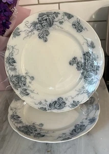 2 TELLER 10" Alfred Meakin blau Superior Eisenstein Floral Transferware - Bild 1 von 12