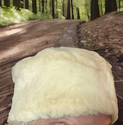 Sombrero cosaco vintage de piel de cordero Betmar genuino Mouton años 40-50 Foto 1 de 4