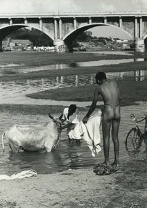 India Laundry day in River Cow Old Photo Defossez 1970's - Picture 1 of 3