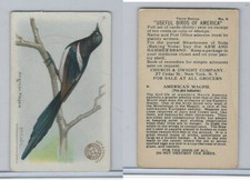 J7, Church & Dwight, Useful Birds America 3rd Ser., 1922, #6 Magpie