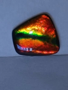 Gorgeous Freeform Ammolite - Picture 1 of 3
