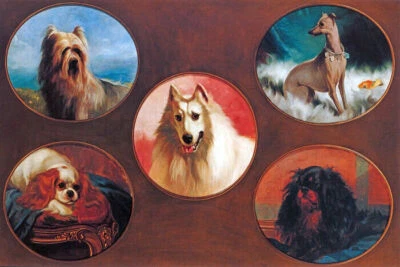 DOGS SPANIEL TERRIER EARLS COURT LONDON PET SHOW CHAMPIONS PAINTINGS REPRO - Image 1 of 3