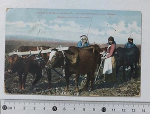 I121614 Cartolina Israele - Pianura Estrelon - Picture 1 of 2